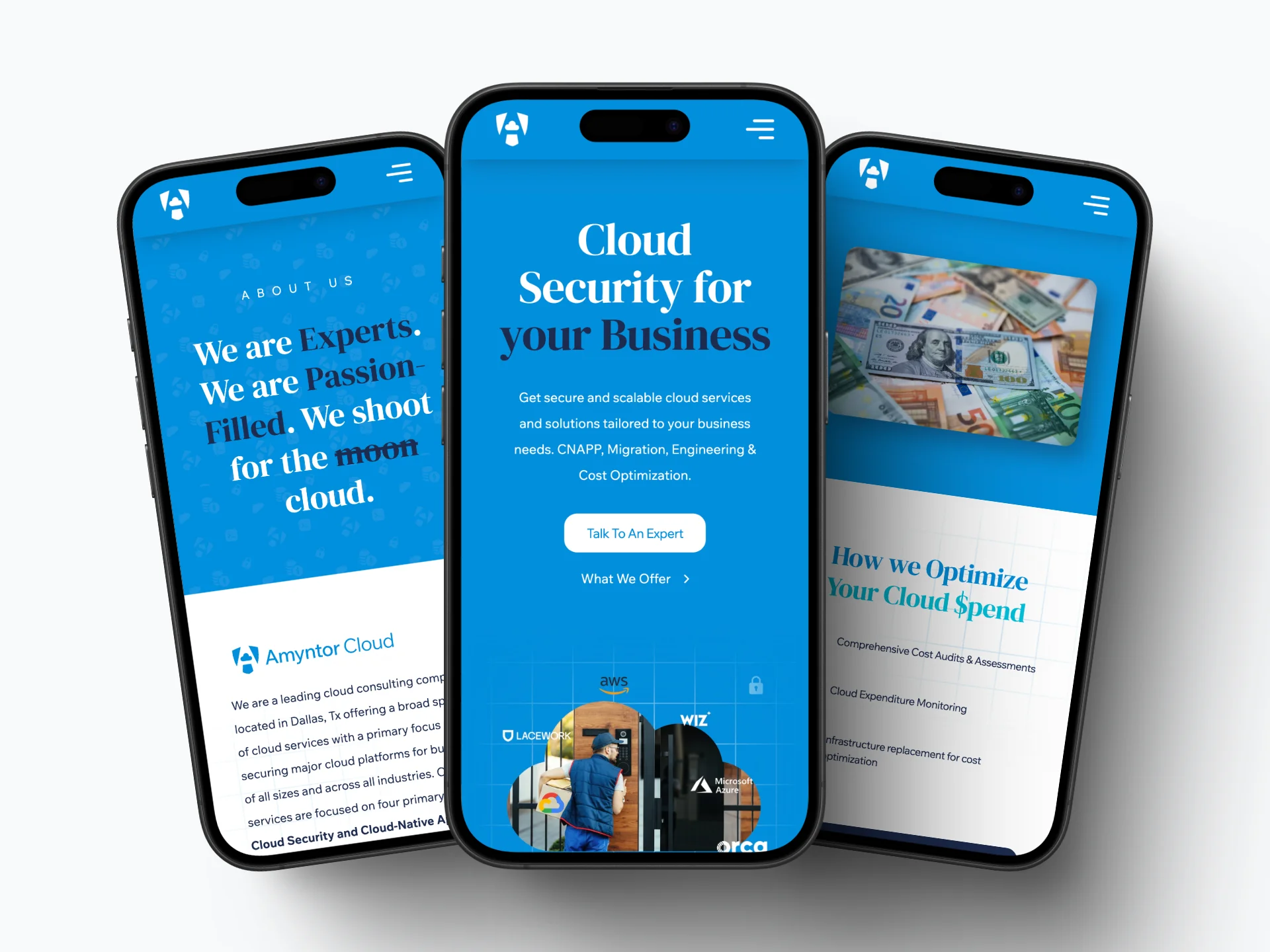 Amyntor Cloud — Cloud Security Website — portfolio screen 3