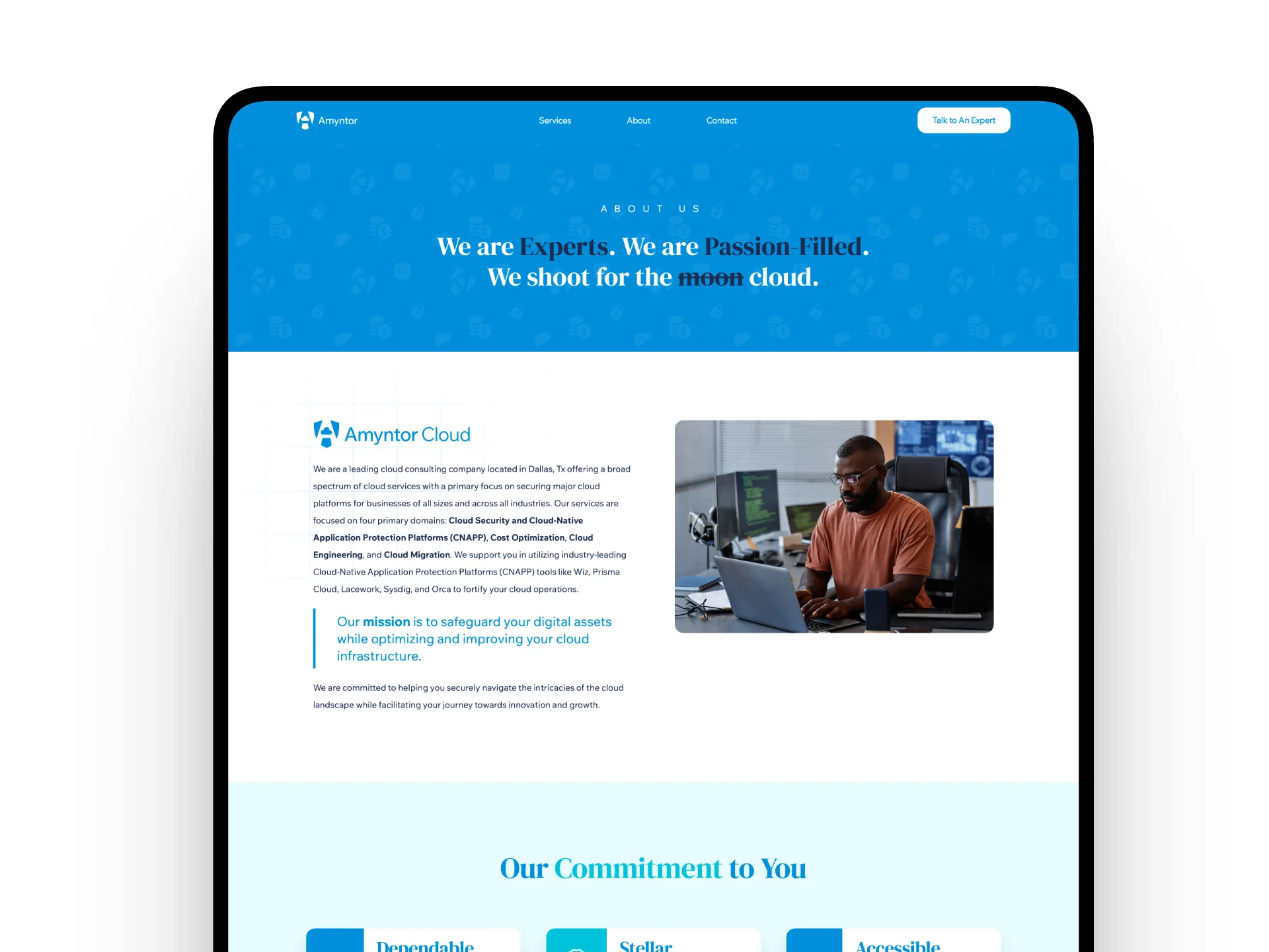 Amyntor Cloud — Cloud Security Website — portfolio screen 4